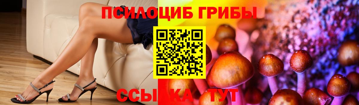 Псилоцибиновые грибы Psilocybe Владикавказ